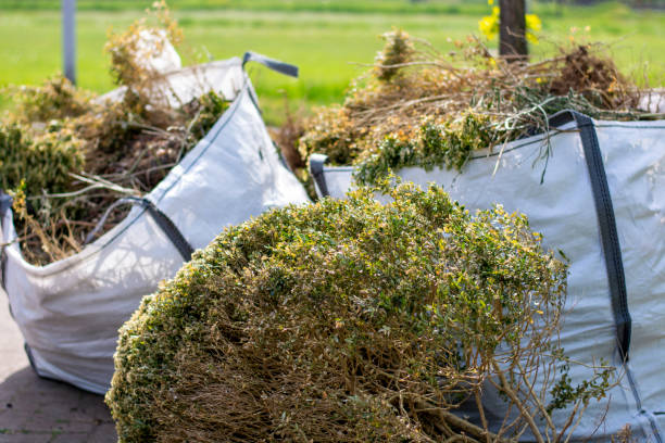 Shed Removal in Diaz, AR